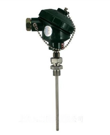 模塊式煙氣探針700mm