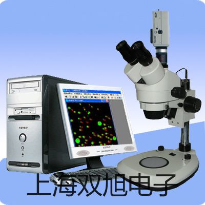 ���p���ơ�4V210-064V21006늴��y�r(ji��)�� 