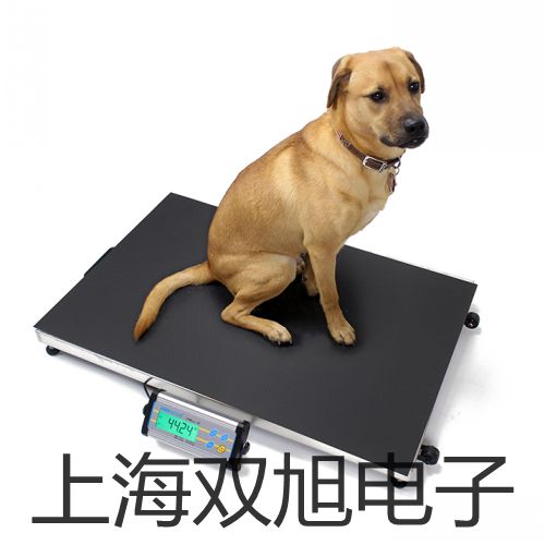 ���p���ơ�WSSX-481B�����p���ٜض�Ӌ��WSSX-481B�N��