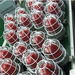 MS-590�����L(f��ng)���p����ʌ��È�(b��o)������(b��o)�r(ji��)