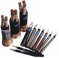 245IEC81(YH) 늺C(j)|/r/a(chn)S/245IEC81(YH)