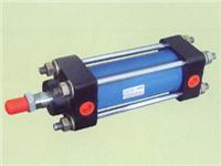  �͸� ,MOB100x600