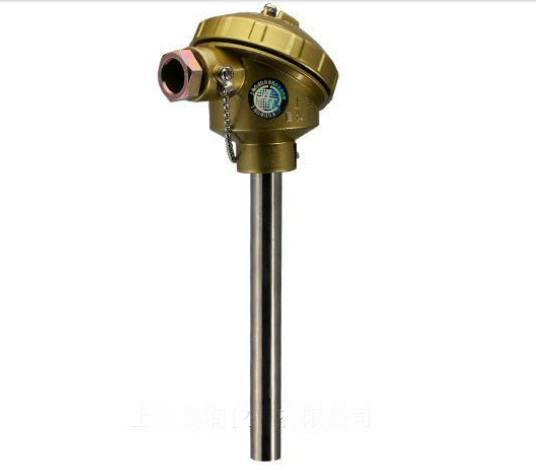 testo�x����