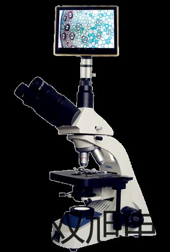 ���p���ơ�UF-04�^�V���r�� 